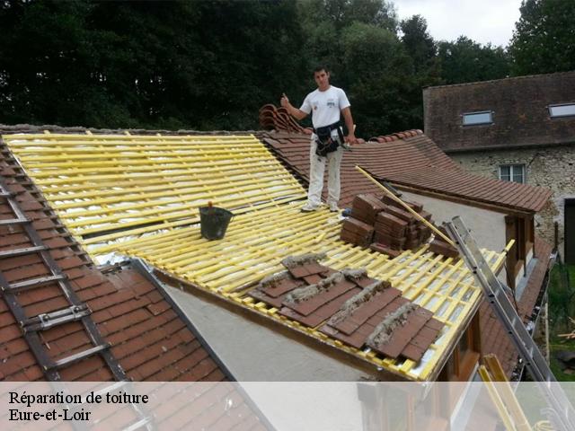 Réparation de toiture Eure-et-Loir 