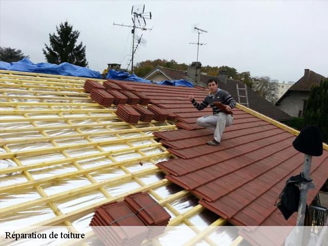 Réparation de toiture Eure-et-Loir 