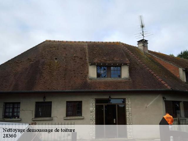Nettoyage demoussage de toiture 28360