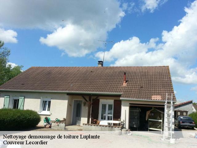 Nettoyage demoussage de toiture 28360