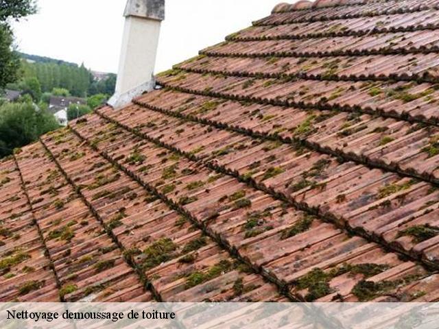 Nettoyage demoussage de toiture 28360