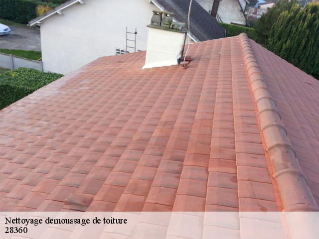 Nettoyage demoussage de toiture 28360