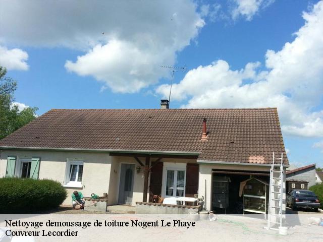 Nettoyage demoussage de toiture 28630