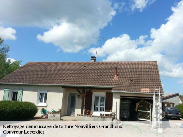 Nettoyage demoussage de toiture 28120