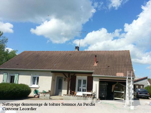 Nettoyage demoussage de toiture 28400