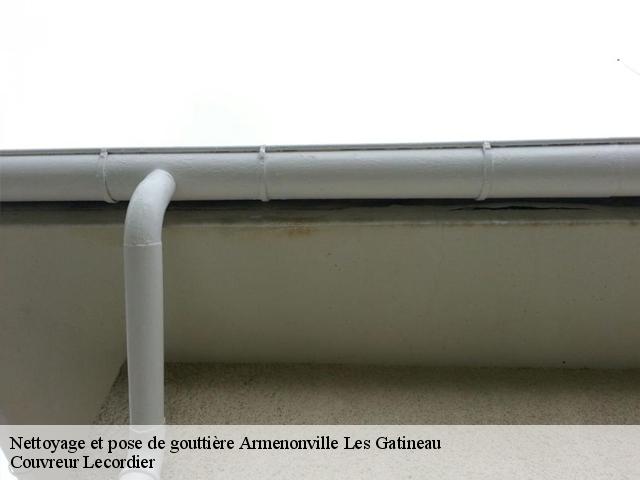 Nettoyage et pose de gouttière  armenonville-les-gatineau-28320 Artisan Dylan