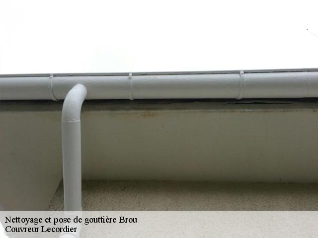 Nettoyage et pose de gouttière brou-28160 Artisan Dylan