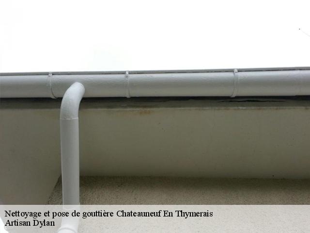Nettoyage et pose de gouttière  chateauneuf-en-thymerais-28170 Artisan Dylan