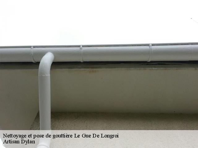 Nettoyage et pose de gouttière  le-gue-de-longroi-28700 Artisan Dylan