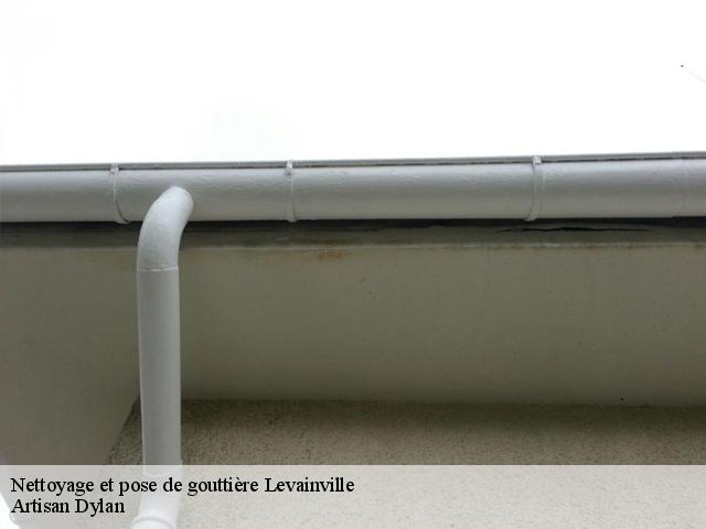 Nettoyage et pose de gouttière  levainville-28700 Artisan Dylan