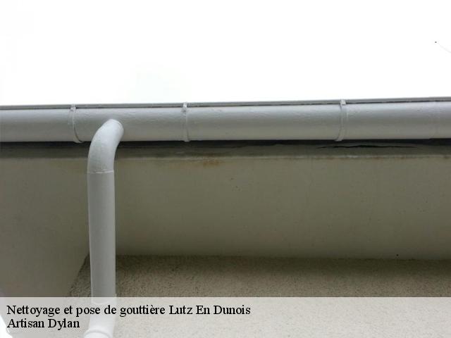 Nettoyage et pose de gouttière  lutz-en-dunois-28200 Artisan Dylan