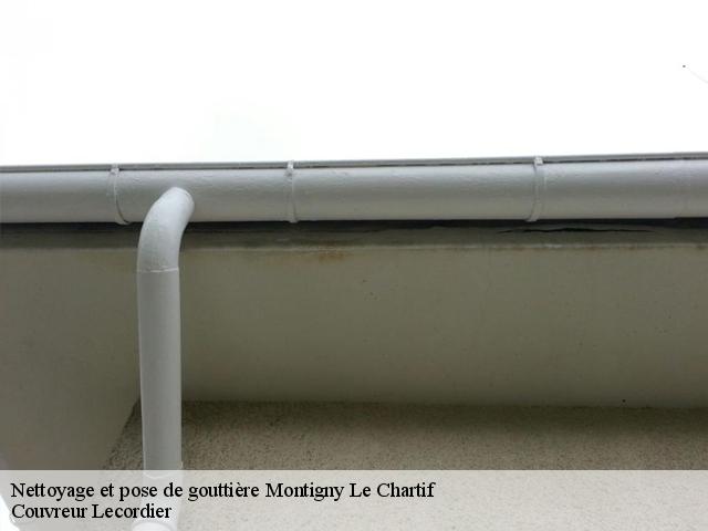 Nettoyage et pose de gouttière montigny-le-chartif-28120 Artisan Dylan