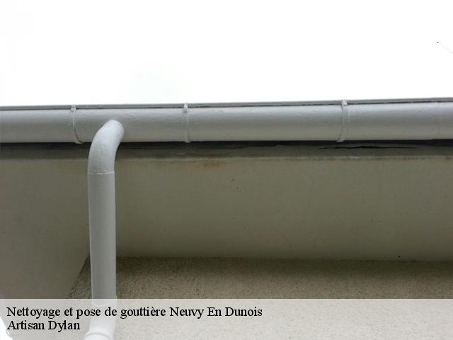 Nettoyage et pose de gouttière  neuvy-en-dunois-28800 Artisan Dylan