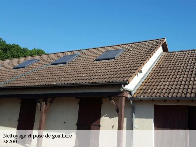 Nettoyage et pose de gouttière 28200