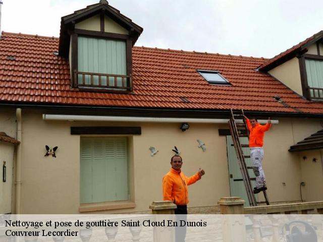 Nettoyage et pose de gouttière 28200