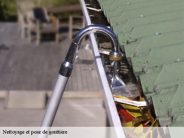Nettoyage et pose de gouttière 28200