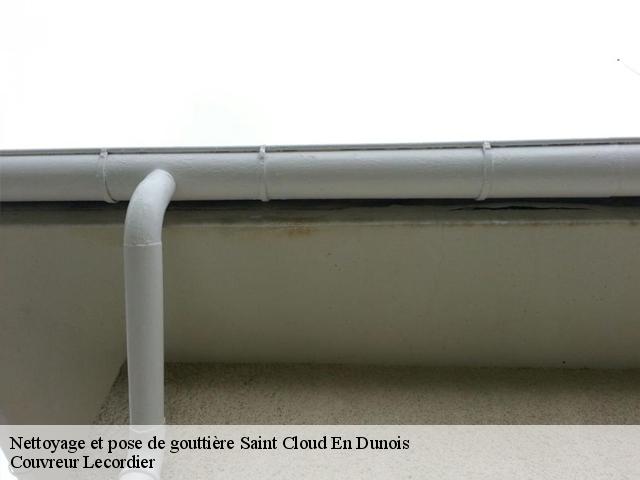 Nettoyage et pose de gouttière saint-cloud-en-dunois-28200 Couvreur Lecordier
