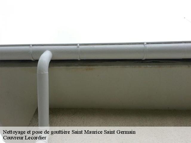 Nettoyage et pose de gouttière saint-maurice-saint-germain-28240 Artisan Dylan