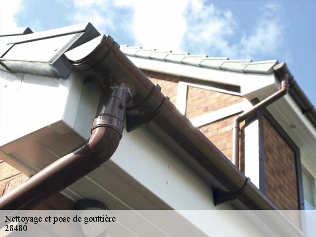 Nettoyage et pose de gouttière 28480