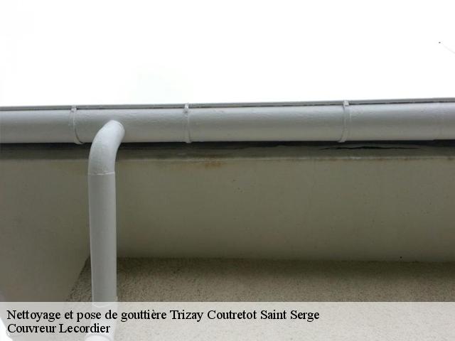 Nettoyage et pose de gouttière trizay-coutretot-saint-serge-28400 Artisan Chevalier