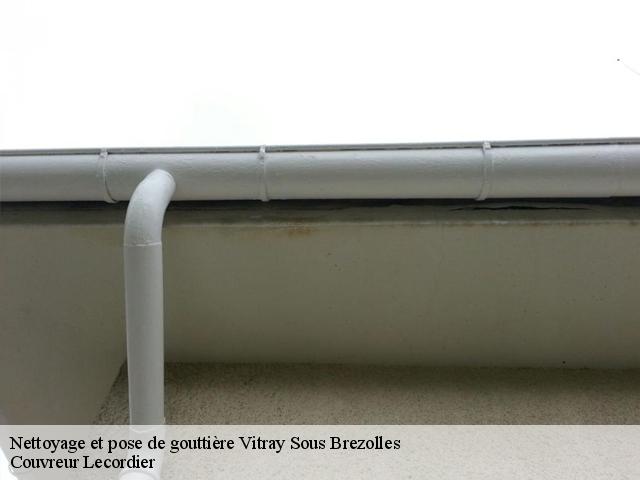 Nettoyage et pose de gouttière vitray-sous-brezolles-28270 Artisan Chevalier