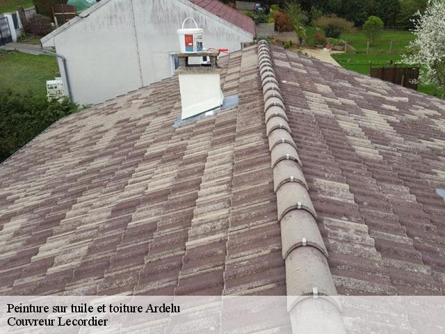 Peinture sur tuile 28700
