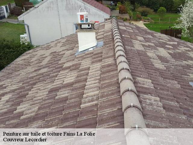 Peinture sur tuile et toiture 28150