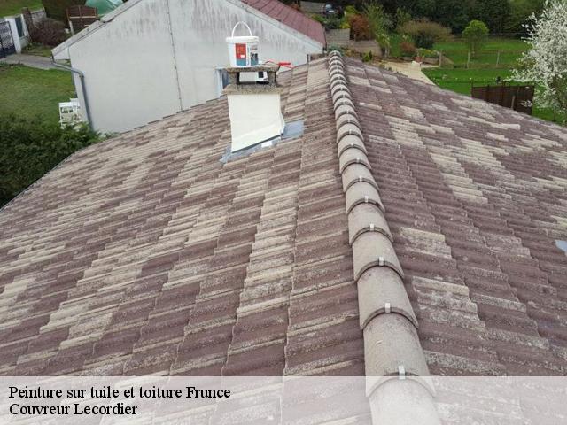 Peinture sur tuile 28190