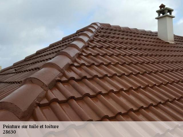 Peinture sur tuile et toiture 28630