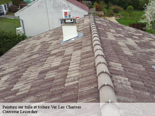 Peinture sur tuile et toiture 28630