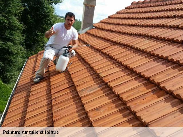 Peinture sur tuile et toiture 28630