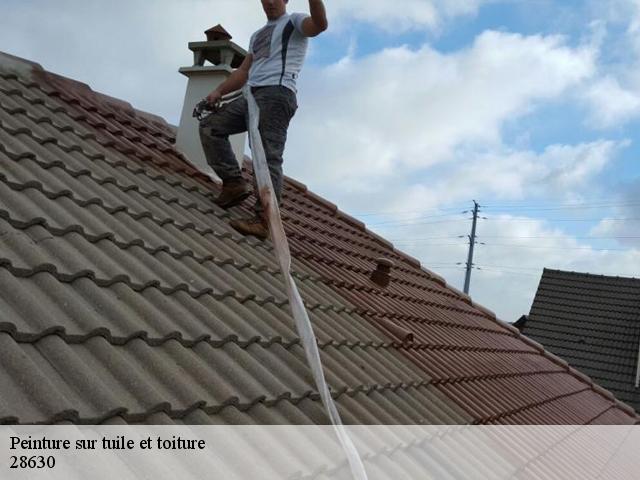 Peinture sur tuile et toiture 28630