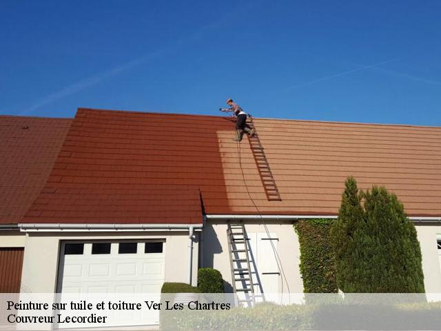 Peinture sur tuile et toiture ver-les-chartres-28630 Couvreur Lecordier