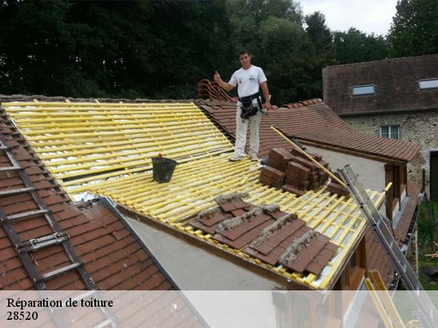 Réparation de toiture  28520