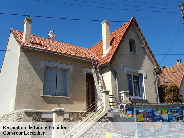 Réparation de toiture 28310