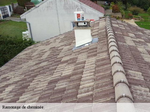 Ramonage de cheminée 28190