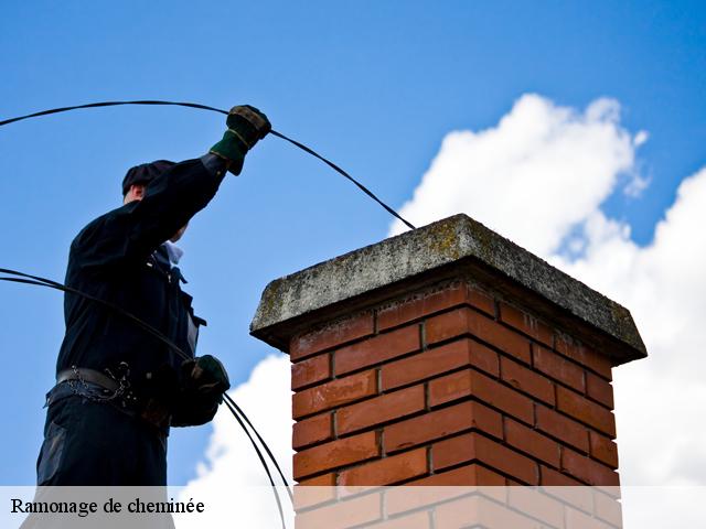 Ramonage de cheminée